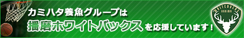 神畑養魚グループは播磨ホワイトバックスを応援しています