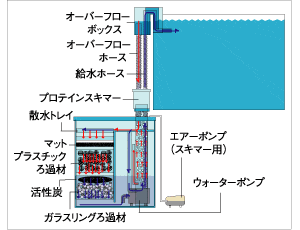 ラピッドプロ