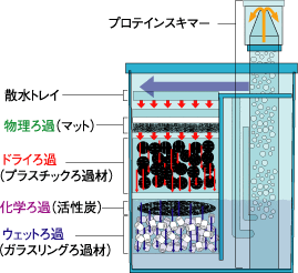 ラピッドプロのろ過の仕組み