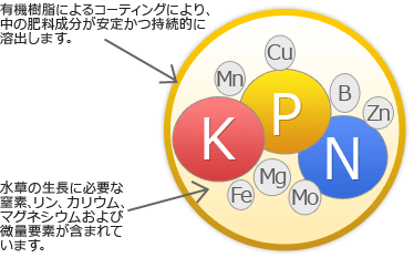 OKOSHIのイメージ