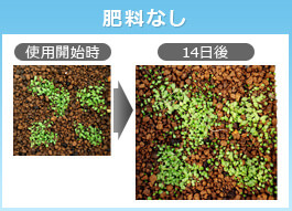 水草専用肥料 Okoshi 水草用品 神畑養魚株式会社