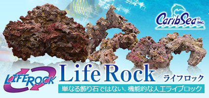 カリブシー　Life Rock（ライフロック）