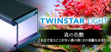 TWINSTAR(ツインスター) ―これまで見たことがない真の美しさの体験をあなたに