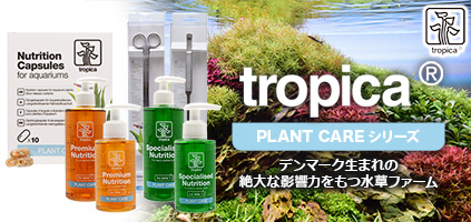 tropica＆copy;(トロピカ) ―デンマーク生まれの絶大な影響力をもつ水草ファーム