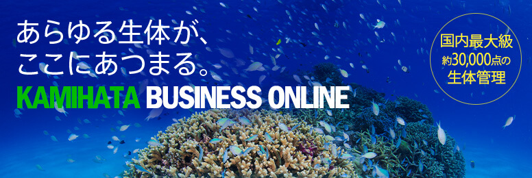 KAMIHATA BUSINESS ONLINE