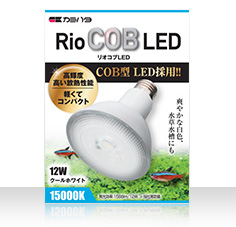 RioCOB LED クールホワイト
