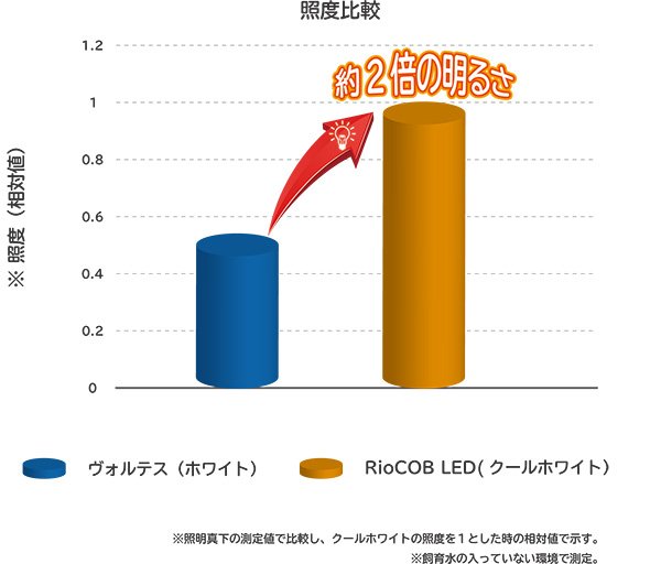 RioCOB＆ヴォルテス相対比較