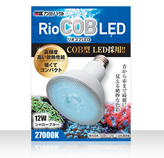 RioCOB LED シャローブルー