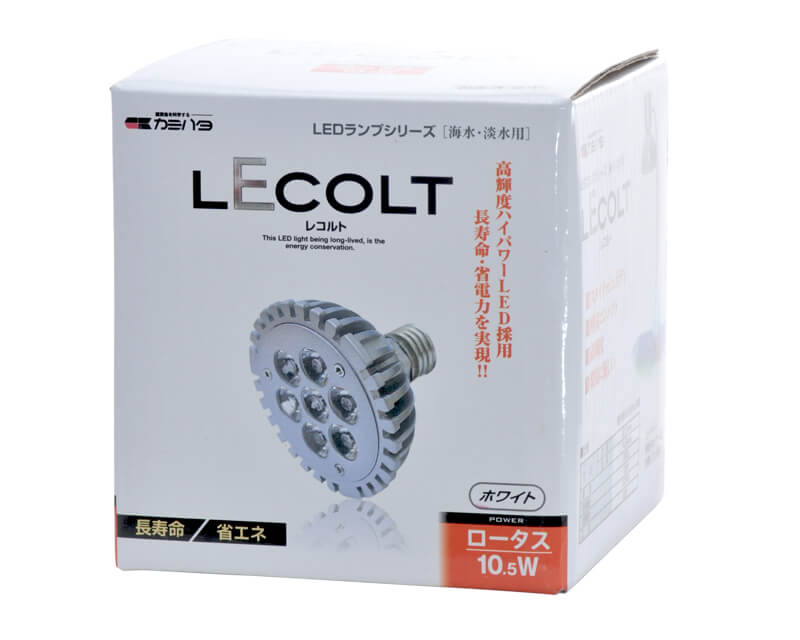 レコルト ロータス ホワイト 10.5W