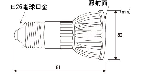 商品サイズ