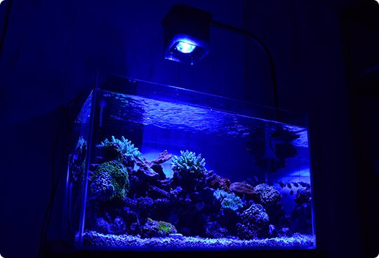 LED－HALO（ハロ）：照明 ～神畑養魚株式会社～