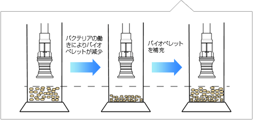 お手入手順