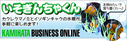 カミハタオンライン「いそぎんちゃくん」ページへ