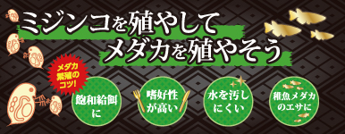 カミハタオンライン「ミジンコ」ページへ