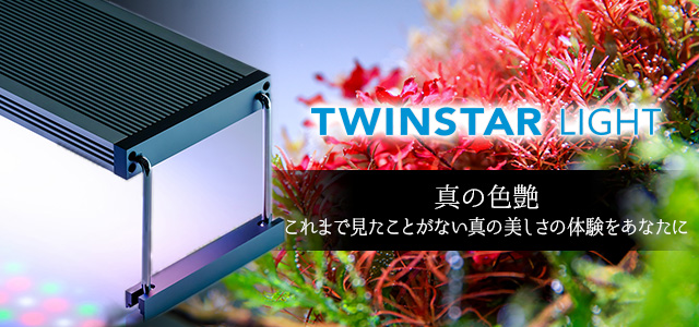 TWINSTAR(ツインスター)