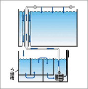 オーバーフロー水槽に