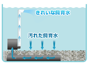 リオプラス 底面フィルター Rioシリーズ 神畑養魚株式会社