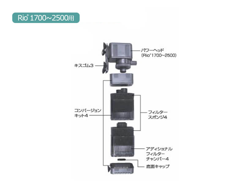 Rio+ 1700-2500用