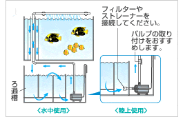 オーバーフリー水槽に