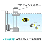 プロテインスキーマーと接続して