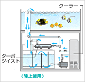 UV殺菌灯「ターボツイスト」・｢クーラー」と接続し