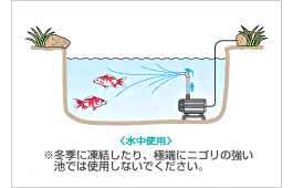 観賞魚池の循環ポンプとして