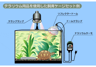 テラリウム用品を使用した飼育ゲージセット例