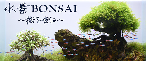 カミハタオンライン「水景BONSAI～樹を創る～」ページへ