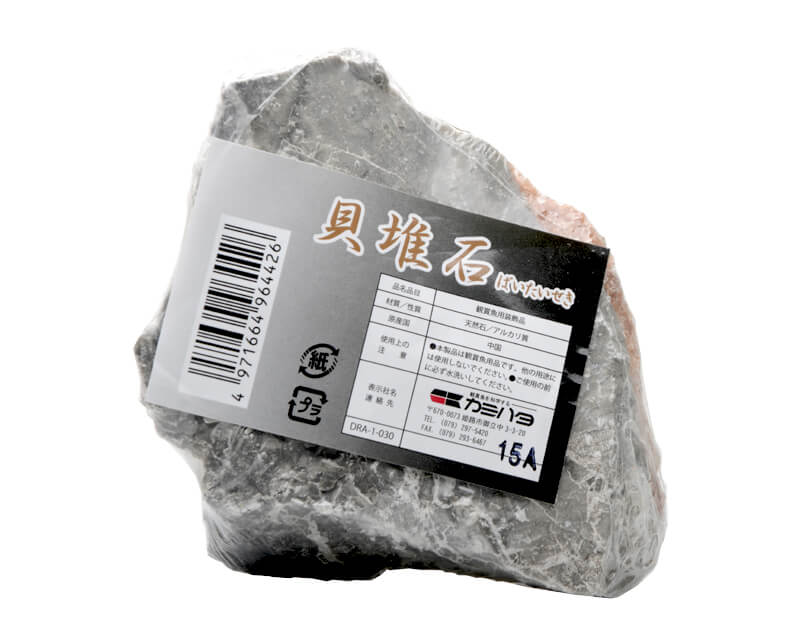 アクアリウムロック 貝堆石