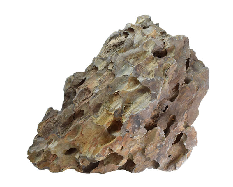 アクアリウムロック 大サイズ 気孔石