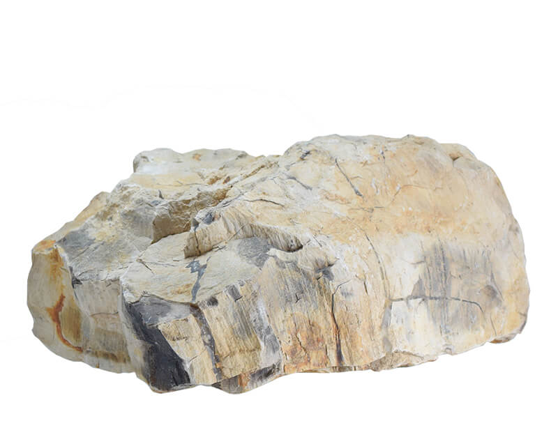 アクアリウムロック 大サイズ 木化石