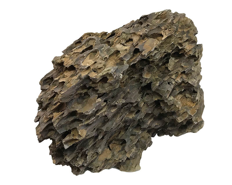 アクアリウムロック 特大サイズ 気孔石