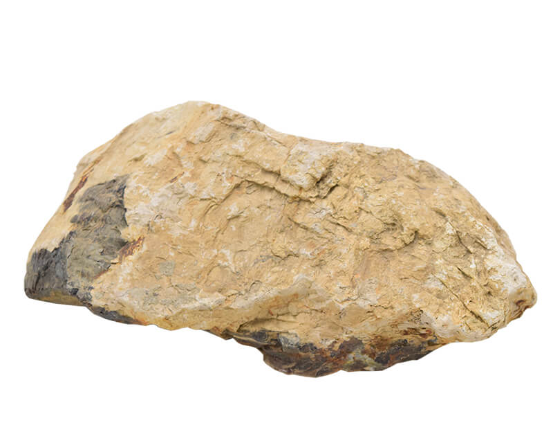 アクアリウムロック 特大サイズ 木化石