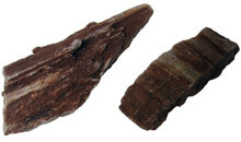 紅木化石