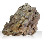アクアリウムロック 大サイズ　気孔石
