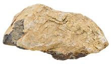 木化石（ぼっかせき）