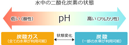 水中の二酸化炭素の状態