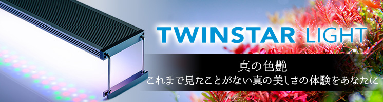 TWINSTAR(ツインスター)―これまで見たことがない真の美しさの体験をあなたに