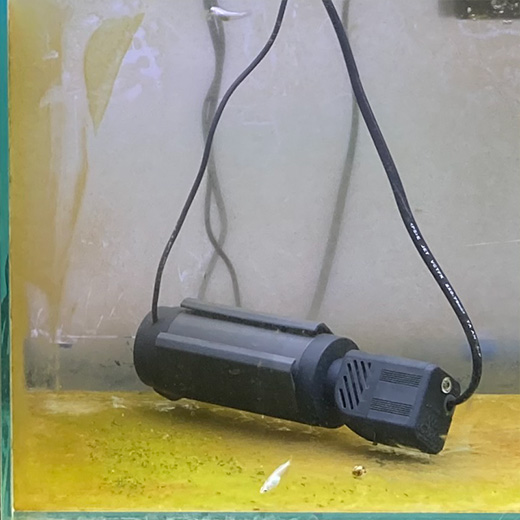 楽天市場】カミハタ リオ プロップ UV 7W 水中殺菌灯 水槽