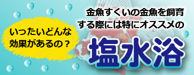 金魚すくいの金魚を飼育する際には特におススメの塩水浴