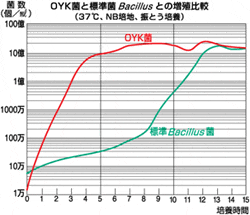 OYK菌と標準菌との増殖比較